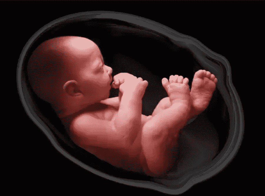 What does the God have to say about the abortion of unborn babies?